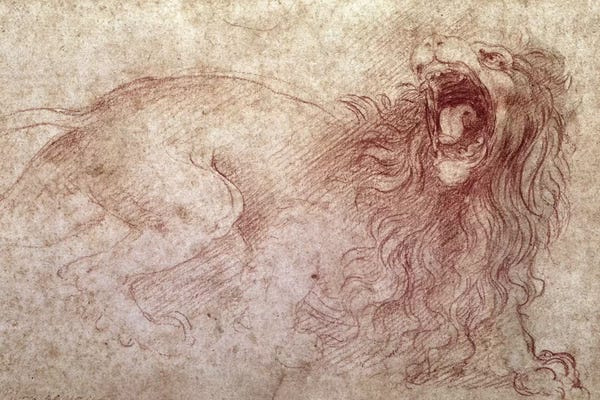 Renaissance: Sketch of a roaring lion  by Leonardo da Vinci
