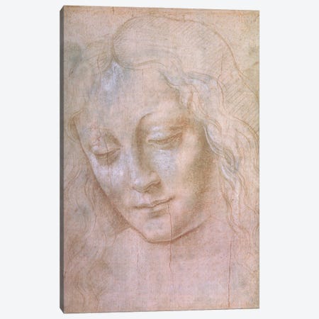 Head of a woman  Canvas Print #BMN2182} by Leonardo da Vinci Canvas Print