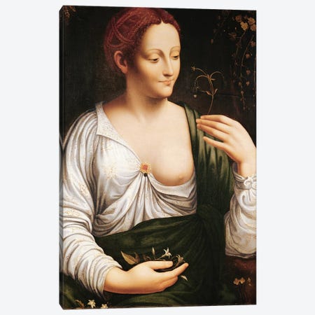 Columbine  Canvas Print #BMN2185} by Leonardo da Vinci Canvas Art