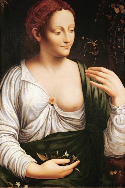 Renaissance: Columbine  by Leonardo da Vinci