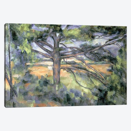 The Large Pine, 1895-97  Canvas Print #BMN2193} by Paul Cezanne Canvas Artwork