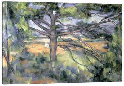 The Large Pine, 1895-97  Canvas Art Print - Paul Cezanne
