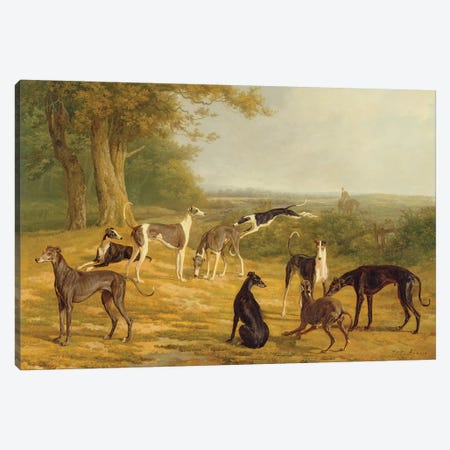 Nine Greyhounds in a Landscape  Canvas Print #BMN2195} by Jacques-Laurent Agasse Canvas Art Print