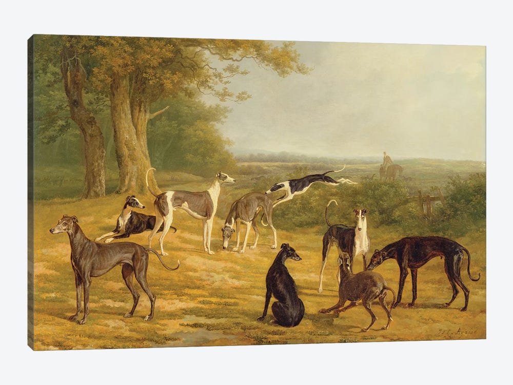 Nine Greyhounds in a Landscape  by Jacques-Laurent Agasse 1-piece Canvas Wall Art