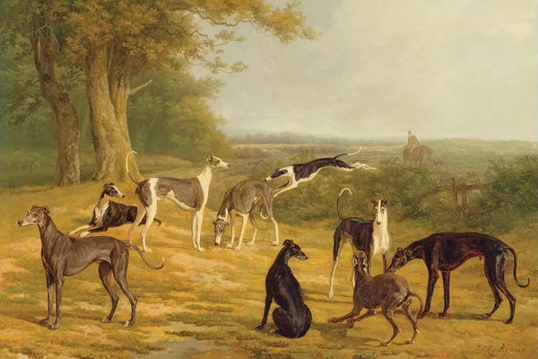 Greyhounds: Nine Greyhounds in a Landscape  by Jacques-Laurent Agasse