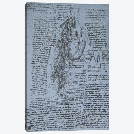 The Heart and the bronchial arteries, facsimile of the Windsor book  Canvas Print #BMN2204} by Leonardo da Vinci Art Print