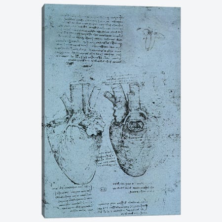 The Heart, facsimile of the Windsor book  Canvas Print #BMN2205} by Leonardo da Vinci Canvas Art Print
