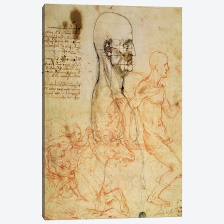 Torso of a Man in Profile, the Head Squared for Proportion, and Sketches of Two Horsemen, c.1490 and c.1504  Canvas Print #BMN2215} by Leonardo da Vinci Canvas Artwork