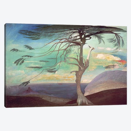 The Solitary Cedar, 1907  Canvas Print #BMN2264} by Tivador Csontvary Kosztka Canvas Art Print