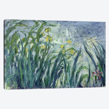 Yellow and Purple Irises, 1924-25  Canvas Print #BMN2270} by Claude Monet Canvas Art Print