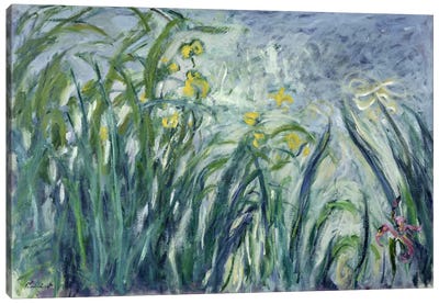 Yellow and Purple Irises, 1924-25  Canvas Art Print