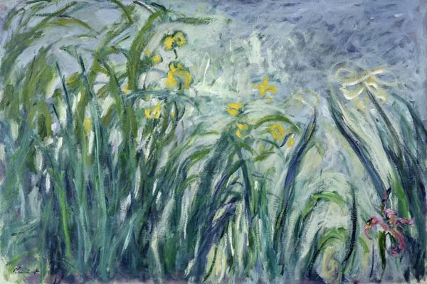 Claude Monet: Yellow and Purple Irises, 1924-25  by Claude Monet