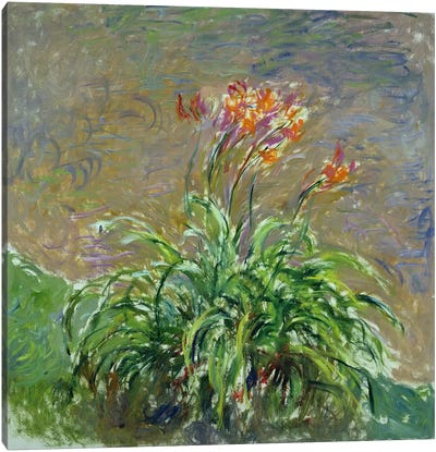 Hemerocallis, 1914-17  Canvas Art Print - Claude Monet