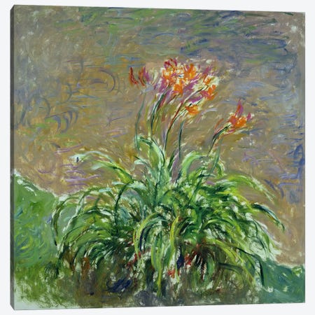 Hemerocallis, 1914-17  Canvas Print #BMN2271} by Claude Monet Canvas Print