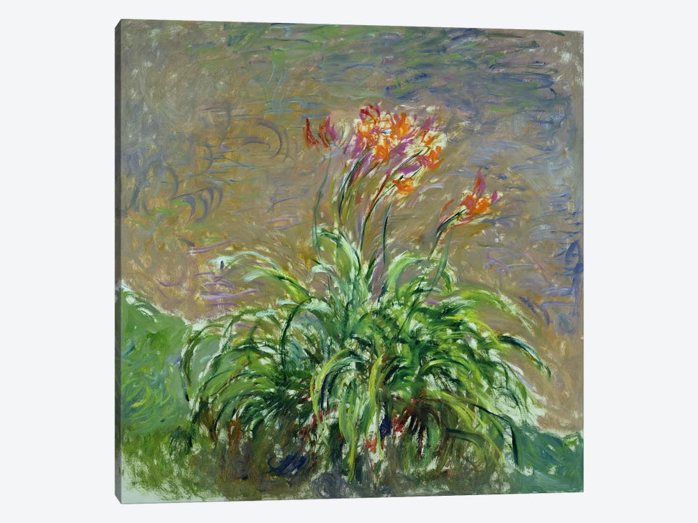 Hemerocallis, 1914-17  by Claude Monet 1-piece Canvas Wall Art