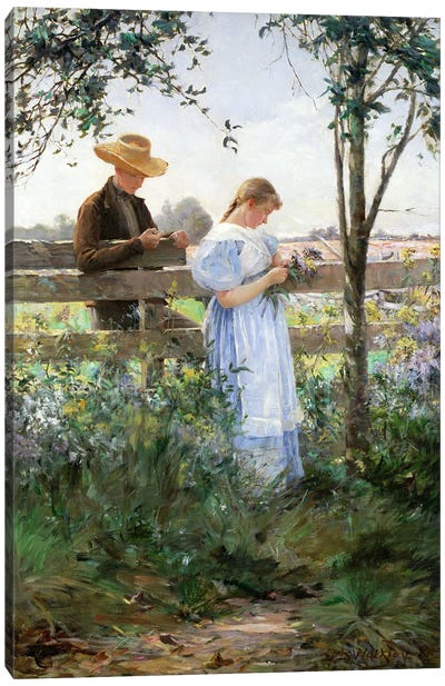 A Country Romance  Canvas Art Print