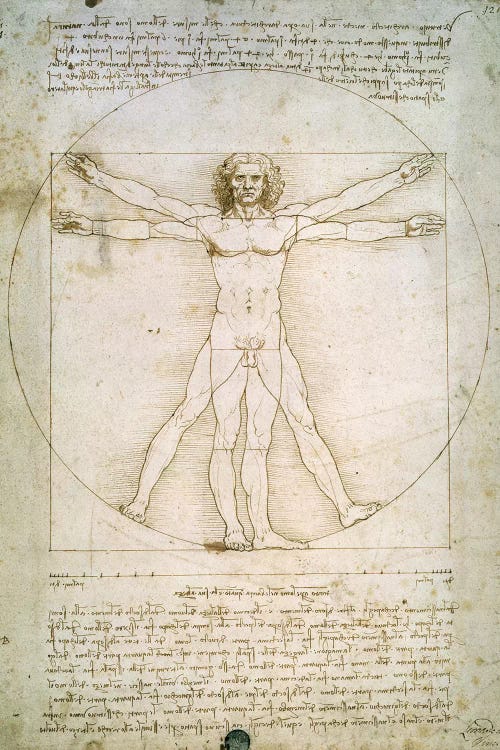 The Proportions of the human figure 