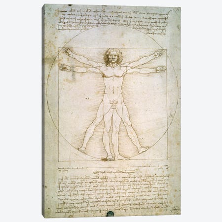 The Proportions of the human figure  Canvas Print #BMN230} by Leonardo da Vinci Canvas Art Print