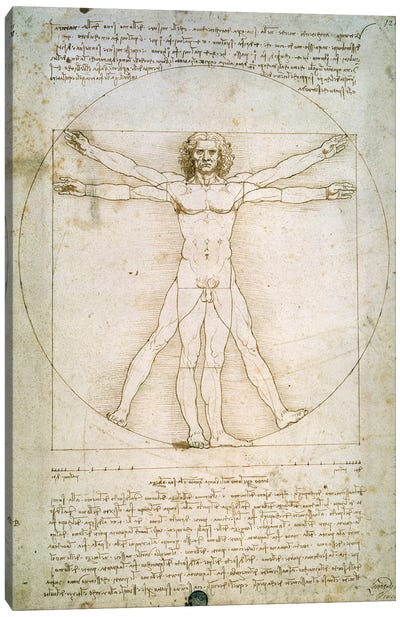 The Proportions of the human figure  Canvas Art Print - Leonardo da Vinci