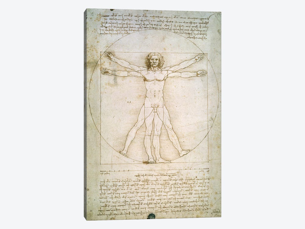 The Proportions of the human figure  by Leonardo da Vinci 1-piece Canvas Art Print