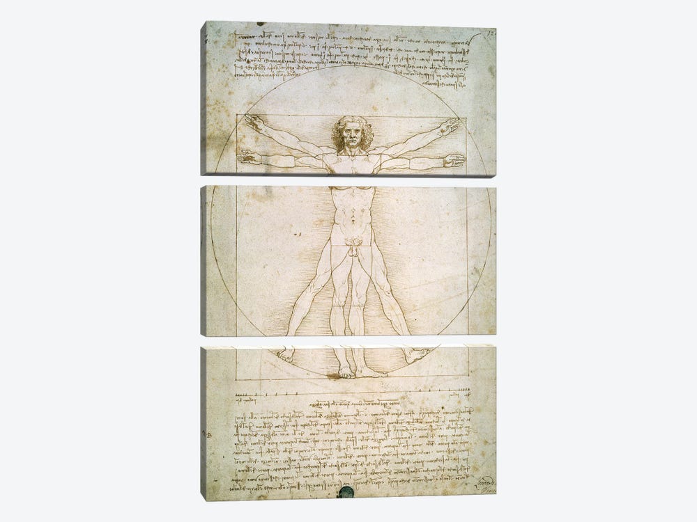 The Proportions of the human figure  by Leonardo da Vinci 3-piece Canvas Art Print
