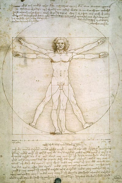 Renaissance: The Proportions of the human figure  by Leonardo da Vinci