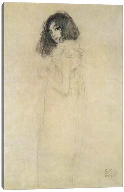 Portrait of a young woman, 1896-97 Canvas Art Print - All Things Klimt