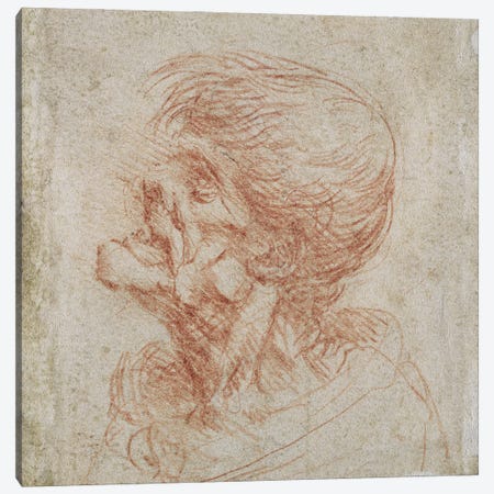 Caricature Head Study of an Old Man, c.1500-05  Canvas Print #BMN2379} by Leonardo da Vinci Canvas Artwork