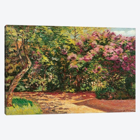 Lilac, the Artist's Garden  Canvas Print #BMN2405} by Jean Baptiste Armand Guillaumin Art Print