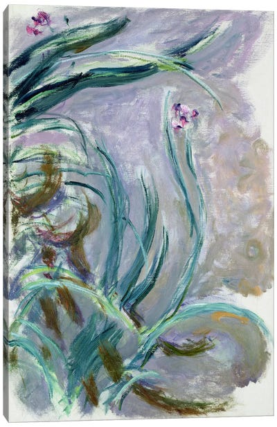 Iris, 1924-25  Canvas Art Print - Iris Art