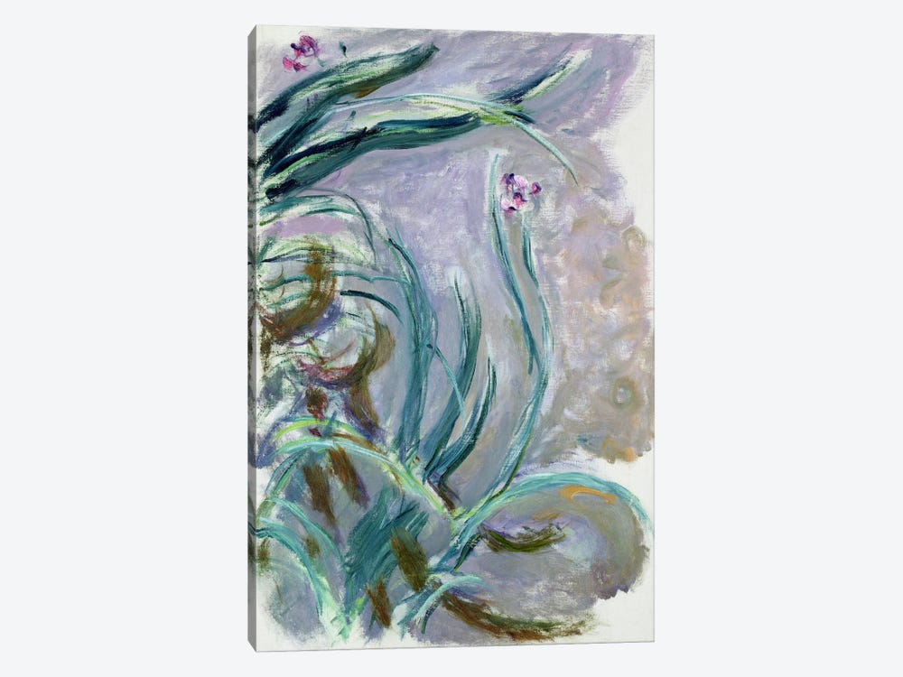 Iris, 1924-25  by Claude Monet 1-piece Canvas Print