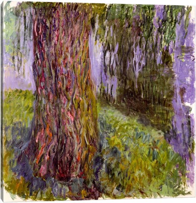 Weeping Willow and the Waterlily Pond, 1916-19  Canvas Art Print - Willow Trees