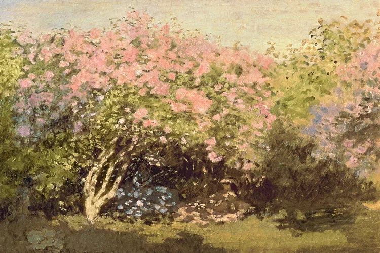 Lilac in the Sun, 1873 