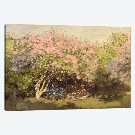 Lilac in the Sun, 1873  Canvas Print #BMN2446} by Claude Monet Canvas Print