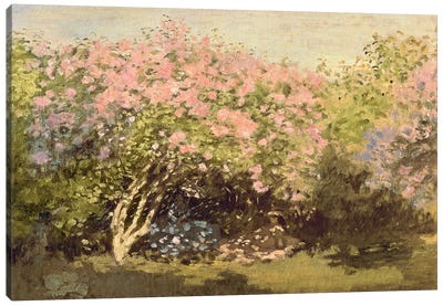 Lilac in the Sun, 1873  Canvas Art Print - Claude Monet