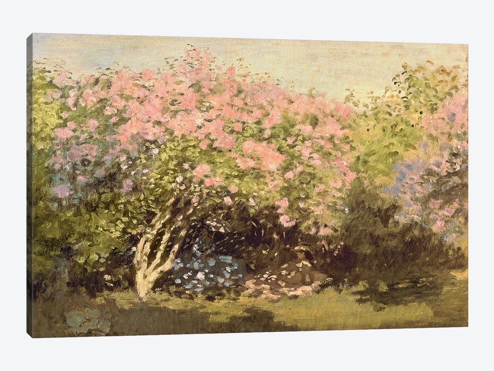 Lilac in the Sun, 1873  by Claude Monet 1-piece Canvas Art