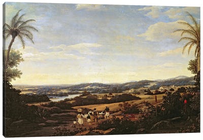 Brazilian Landscape with a Plantation  Canvas Art Print