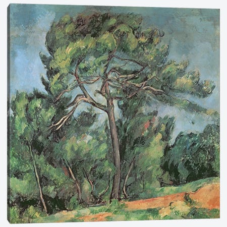 The Large Pine, c.1889  Canvas Print #BMN2497} by Paul Cezanne Canvas Wall Art