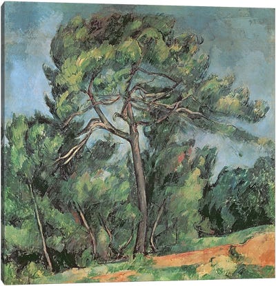 The Large Pine, c.1889  Canvas Art Print - Paul Cezanne