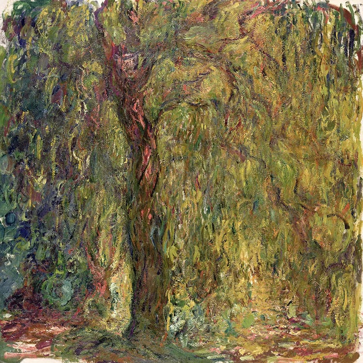 Weeping Willow, 1918-19  by Claude Monet wall art