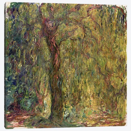 Weeping Willow, 1918-19  Canvas Print #BMN2525} by Claude Monet Canvas Wall Art