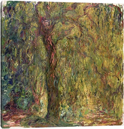 Weeping Willow, 1918-19  Canvas Art Print - Willow Tree Art