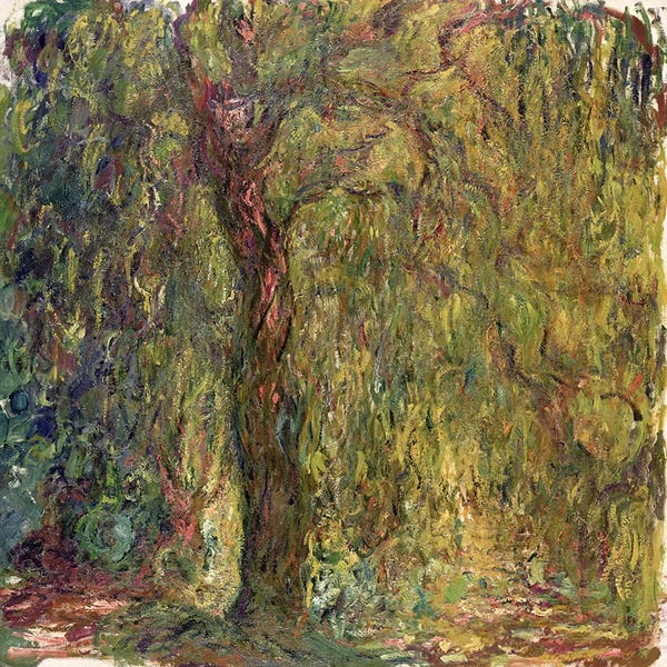 Impressionism: Weeping Willow, 1918-19  by Claude Monet