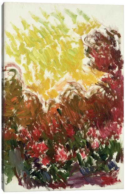 The Garden at Giverny, 1922-26  Canvas Art Print - Claude Monet