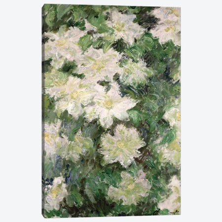 White Clematis, 1887  Canvas Print #BMN2531} by Claude Monet Canvas Artwork