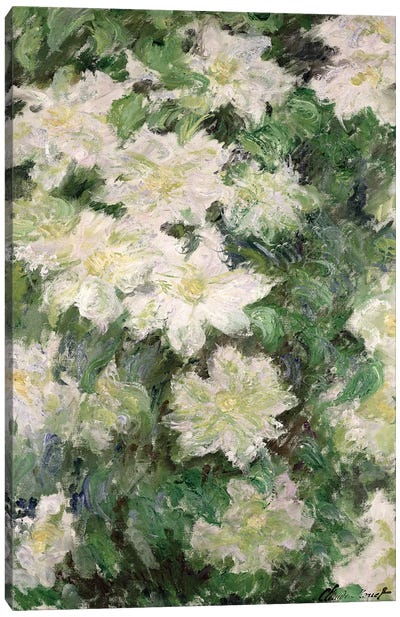 White Clematis, 1887  Canvas Art Print - Claude Monet