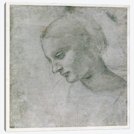 Head of a Young Woman or Head of the Virgin, c.1490  Canvas Print #BMN2538} by Leonardo da Vinci Canvas Wall Art