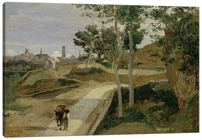 Road from Volterra  Canvas Art Print