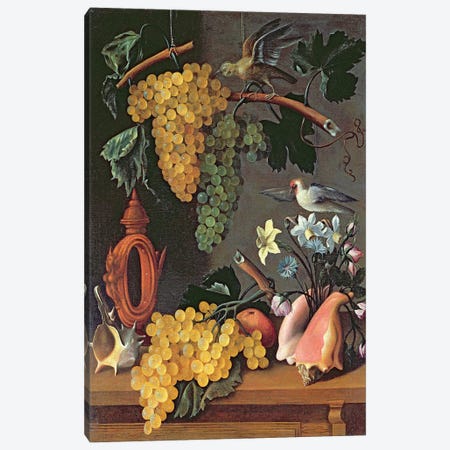 Still Life with Grapes, Birds, Flowers and Shells  Canvas Print #BMN2560} by Juan de Espinosa Canvas Print