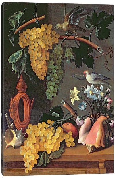 Still Life with Grapes, Birds, Flowers and Shells  Canvas Art Print